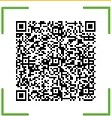 QR Code PIX INAS